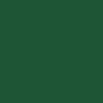 Dark Green.jpg